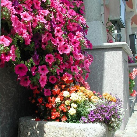 Hotel Sammer Neufelden 외부 사진