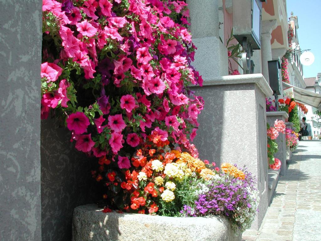 Hotel Sammer Neufelden 외부 사진